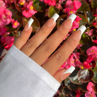 French Medium // Gel Capsules