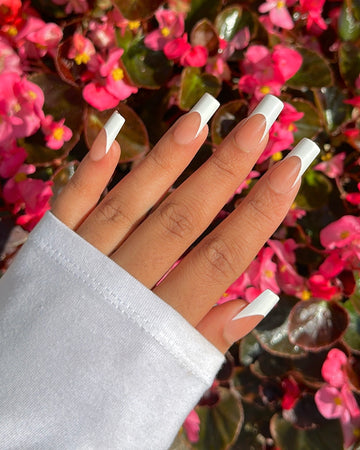 French Medium // Gel Capsules