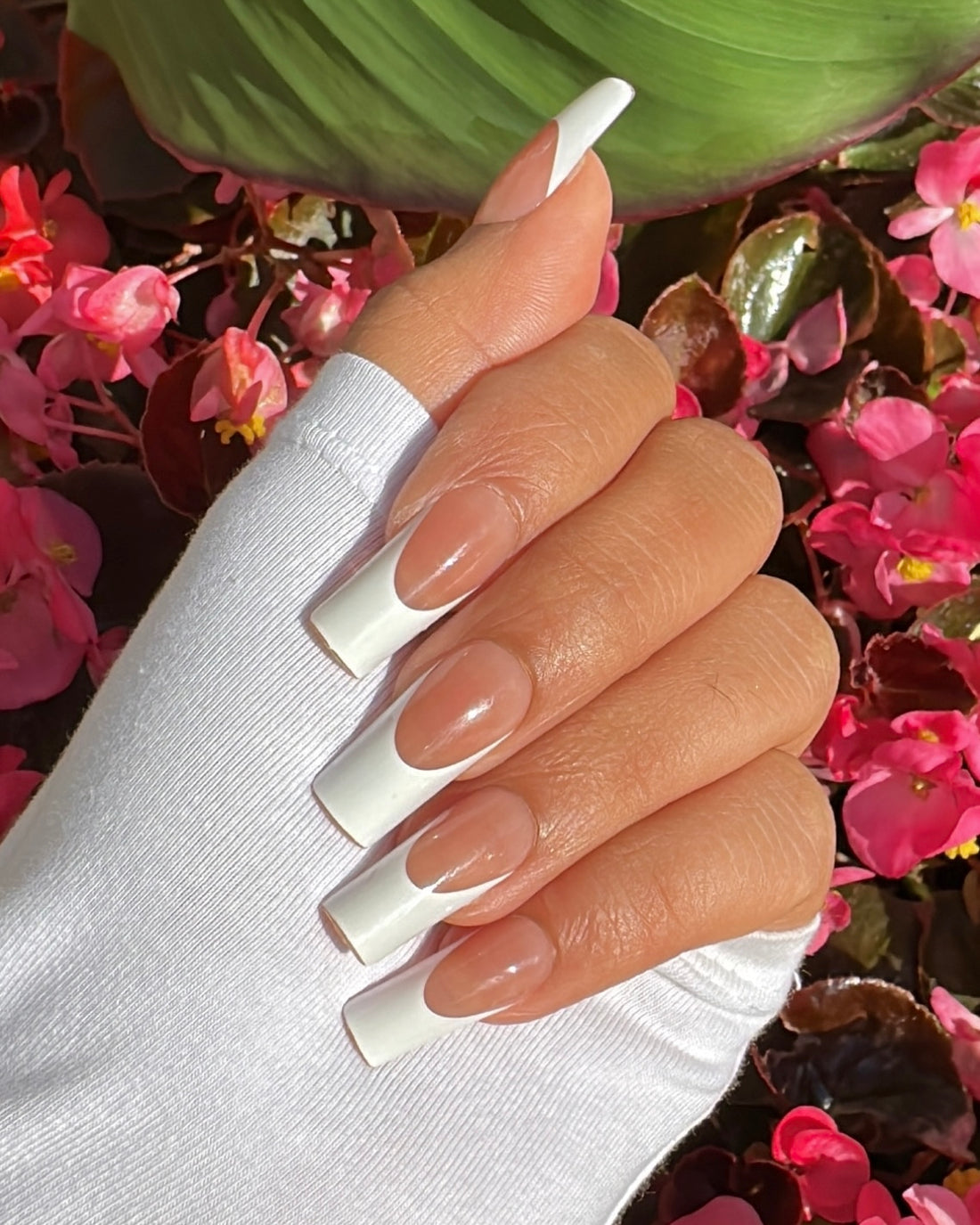 French Medium // Gel Capsules